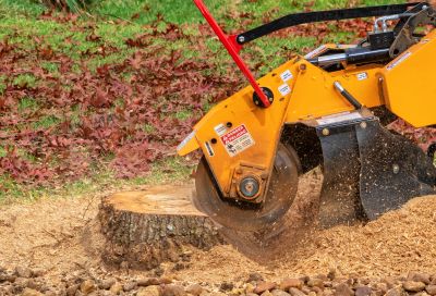 Mulching and Stump Grinding
