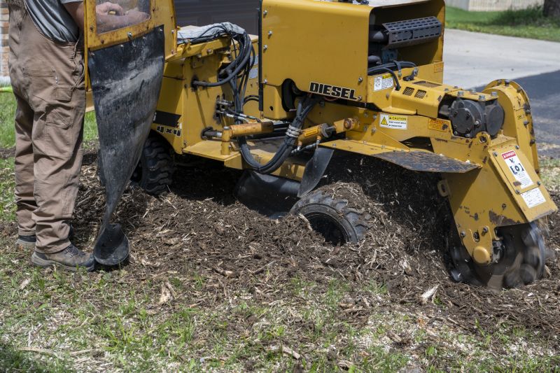 Stump Removal Machinery