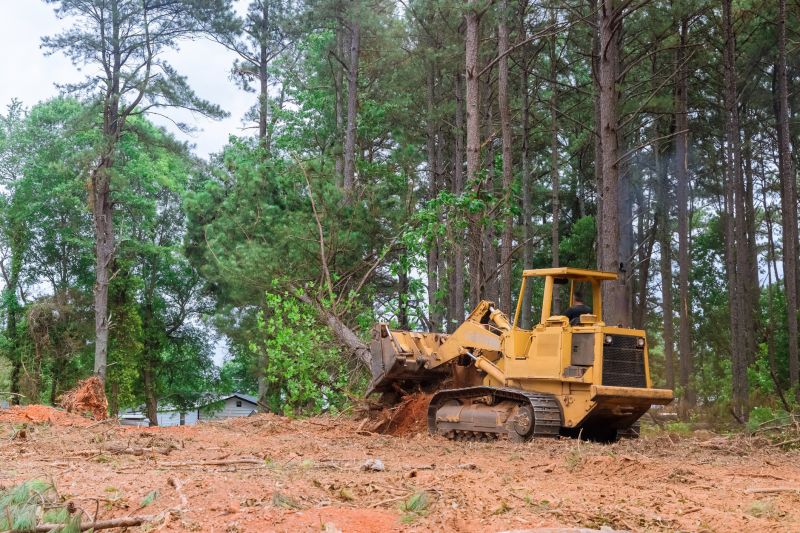 Land Clearing Contractors