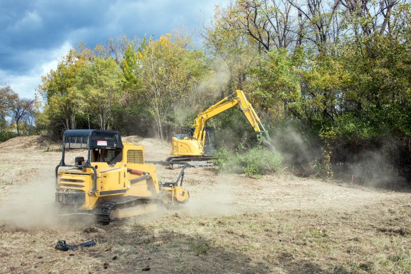 Professional Land Clearing